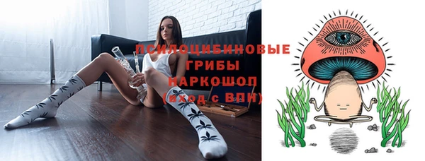 сатива Волосово